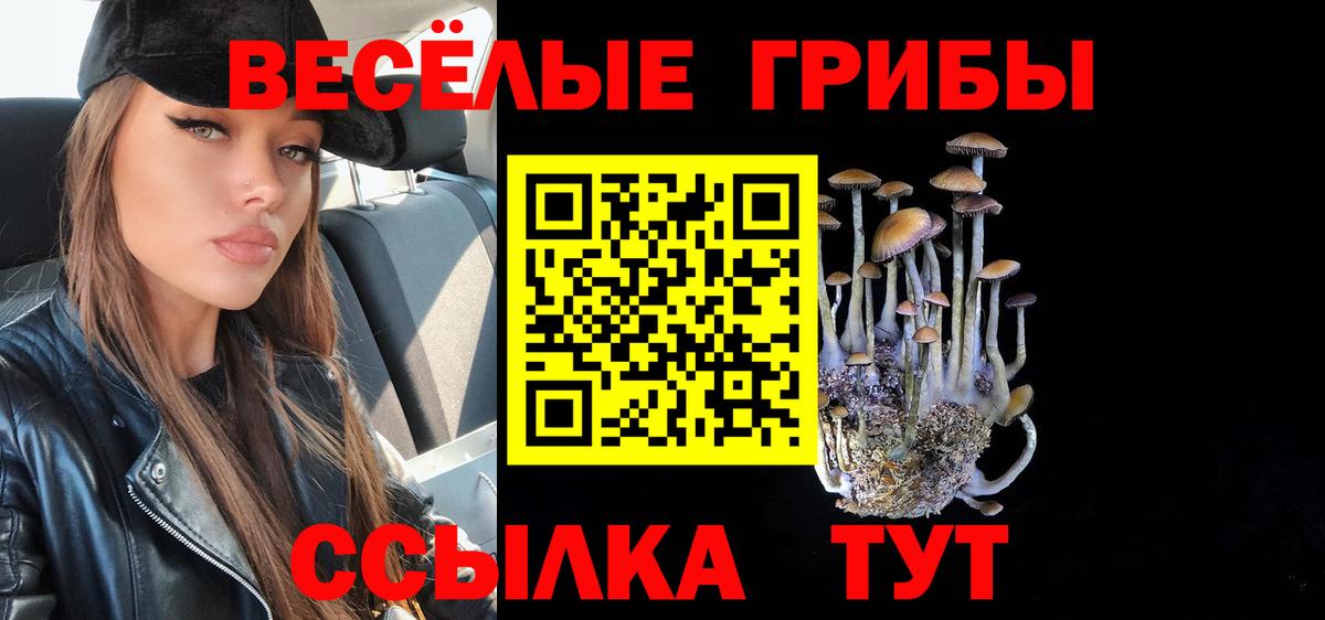 Псилоцибиновые грибы Psilocybine cubensis  Вход с VPN  что такое наркотик  Галлюциногенные грибы ЛСД  Кумертау 