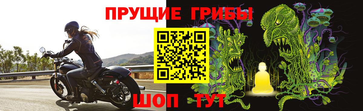 Галлюциногенные грибы MAGIC MUSHROOMS Кумертау